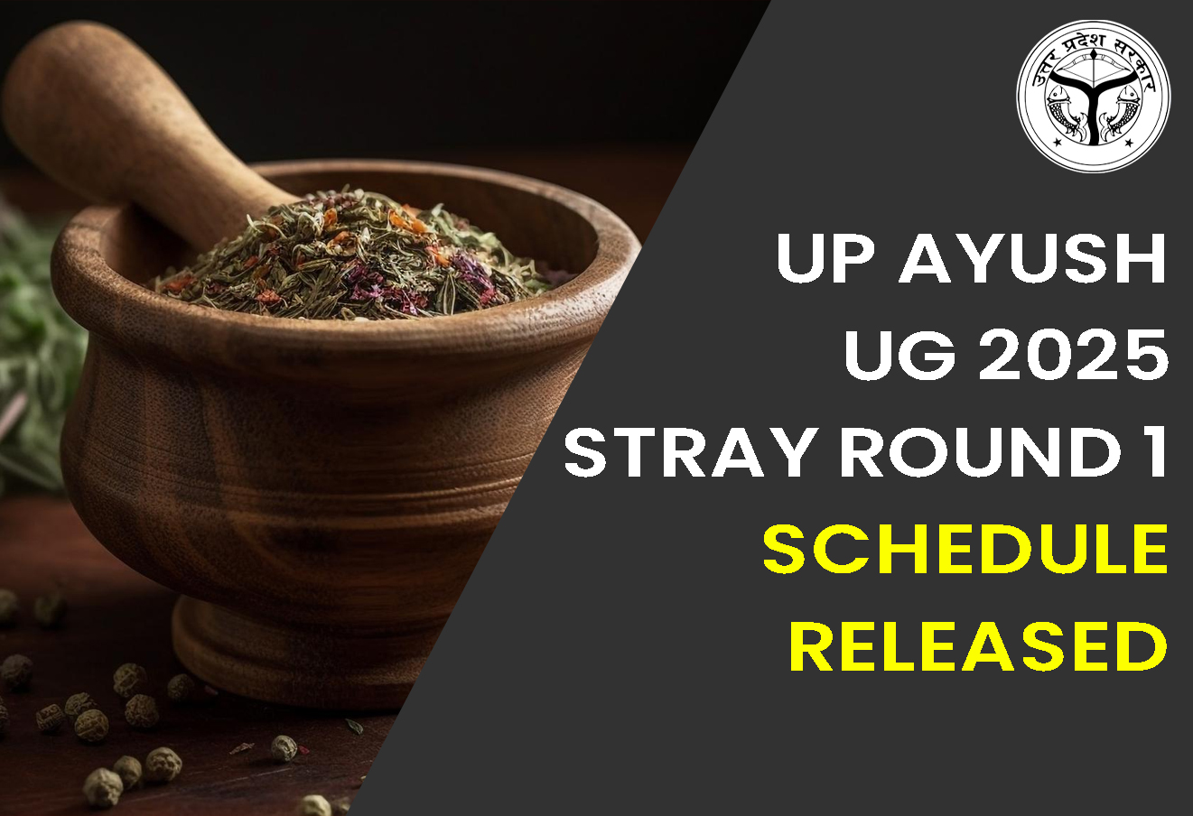 UP AYUSH UG 2025 Stray Round 1 Schedule Released